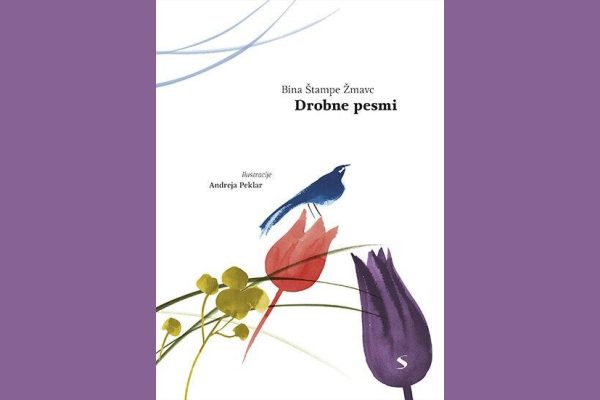 Malo mešano slovensko – bralni študijski krožek