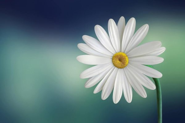 Literarno-glasbeni dogodek ob svetovnem dnevu poezije na prvi pomladanski dan