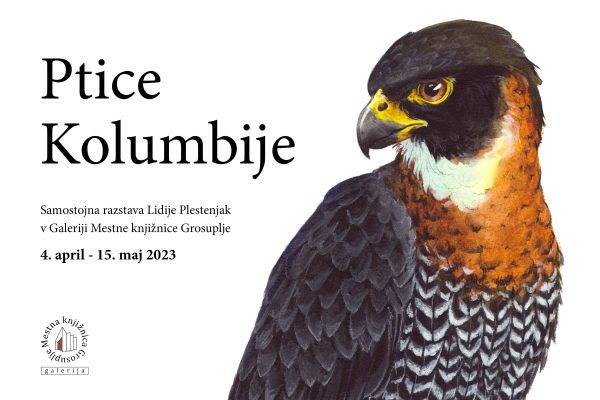 Ptice Kolumbije – samostojna razstava Lidije Plestenjak