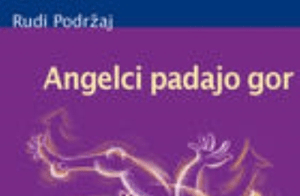 Srečanje bralnega študijskega krožka Prosto po Prešernu (Grosuplje)