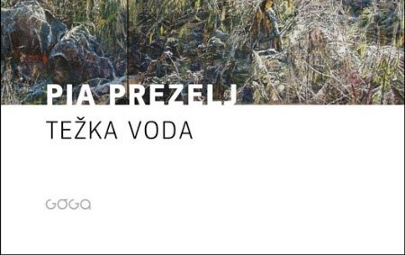 Srečanje bralnega študijskega krožka Berem slovensko – in to ti pove vse (Grosuplje)