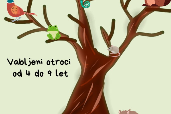 Pravljična ura za otroke od 4 do 9 let (Grosuplje)