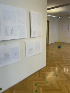 IMG 9779